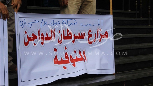 وقفة احتجاجية لأصحاب مزارع الدواجن أمام الصحفيين