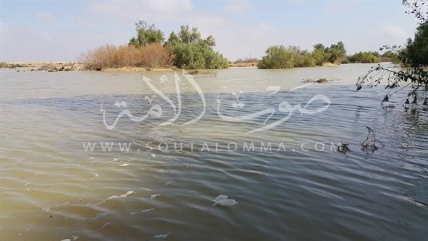 بالصور.. السيول تصل سيناء وسط فرحة الأهالي بقدوم الخير