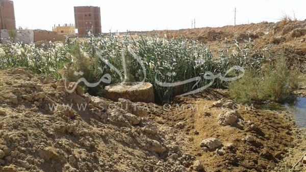 بالصور.. أهالي «الداخلة» في انتظار الموت صعقا.. غضب بسبب زيادة الصرف الزراعي وتلف أبراج الكهرباء.. الأهالي يناشدون المسؤولين التحرك لإنقاذهم.. بوار الأراضي الزراعية والمحاصيل والمواشي في خطر 