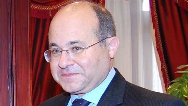 سفير مصر فى طوكيو يؤكد أهمية زيارة السيسي لليابان 