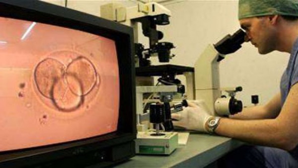 أمل جديد لمرضى العقم والسرطان.. إنتاج حيوانات منوية خارج الجسم