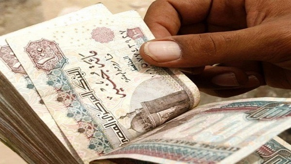 إحالة ٧ أشخاص لـ«جنح الشرقية» لاستيلائهم على ٢٠ مليون جنيه 