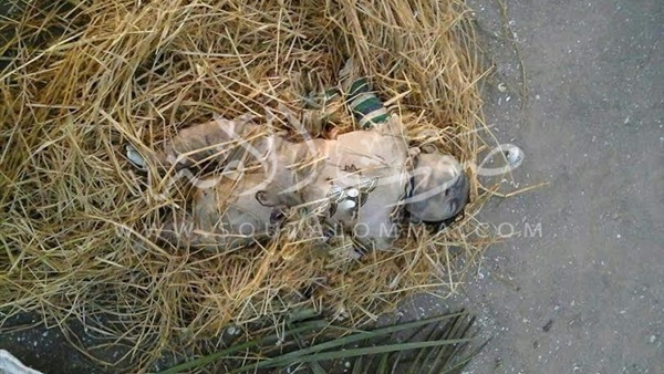 بالصور.. العثور على جثة طفل بشاطئ جمصة