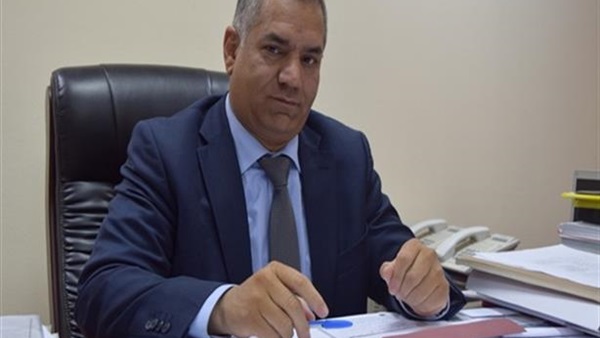 محاولات لإيقاف بيع قطع أثرية مصرية بهولندا