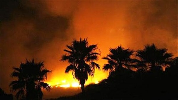 حريق يلتهم 700 نخلة بعين الحمراء بالمعصرة بمركز الداخلة