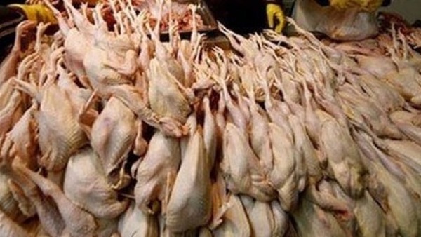 ضبط طن دواجن فاسدة و4200 طائر غير مطابق للمواصفات بالقاهرة 