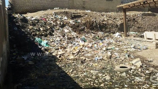 بالصور.. رفع القمامة وتطوير وتجميل الحديقة المتحفية بأخميم 