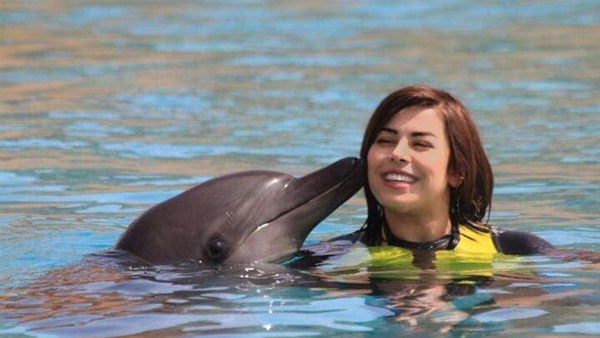 على خطى سيرين واليسا.. السويسى تداعب الدولفين بحمام السباحة  