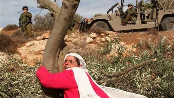 مركز حقوقي: الاحتلال قتل 316 امرأة فلسطينية منذ عام 2012