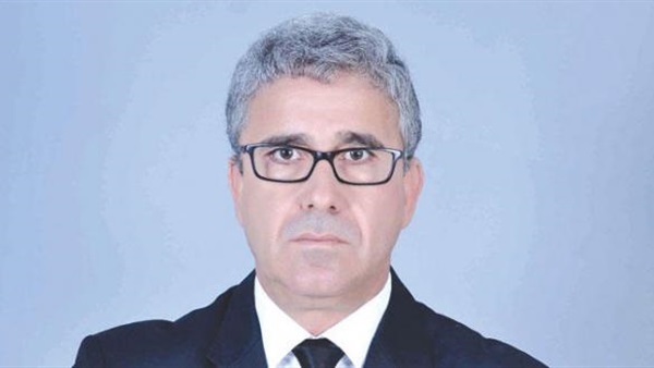 رئيس الوزراء: دراسات «المثلث الذهبي» تنتهي في مايو