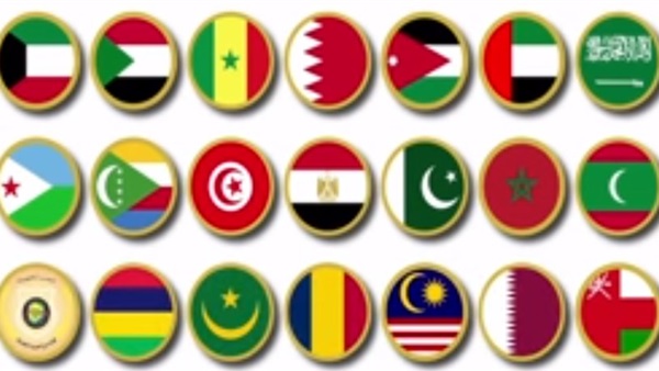 بالفيديو.. وزارة الدفاع تهدي المصريين أغنية «علم العروبة»