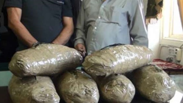شرطة طيبة بالأقصر تنجح في ضبط شخص بحوزته 10 كيلو بانجو