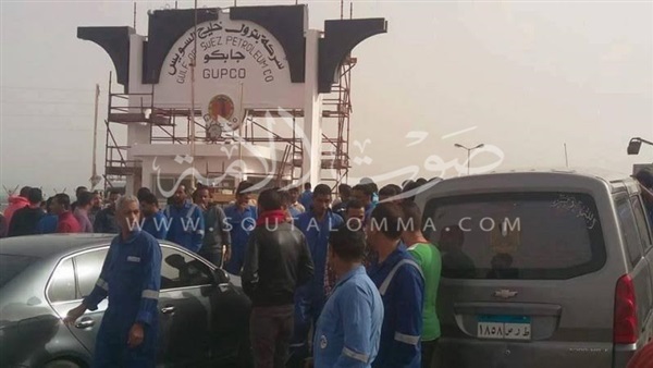 بالصور.. إحتجاجات عمال «أديس» للبترول فى البحر الأحمر