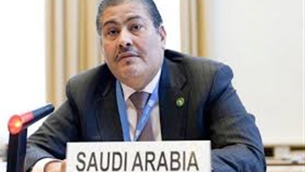 السعودية تطالب الجميع باحترام قضائها وأحكامها