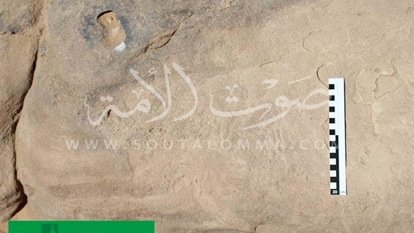 بالصور..الكشف عن مجموعة من النقوش الصخرية تعود لعصور ما قبل التاريخ بأسوان