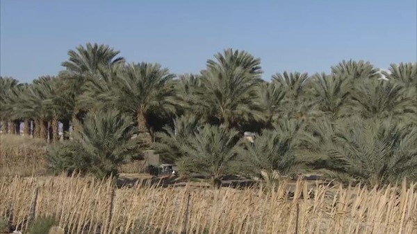 «بريطانيا» تدين قرار إسرائيل بمصادرة 585 فدانًا في الضفة الغربية
