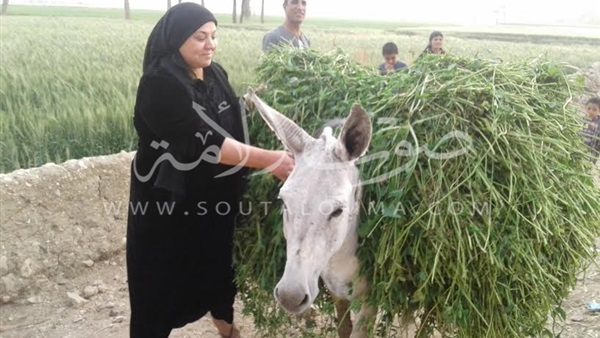 بالصور.. «مرية صدقي» قصة «المرأة الحديدة» الثانية بأسيوط