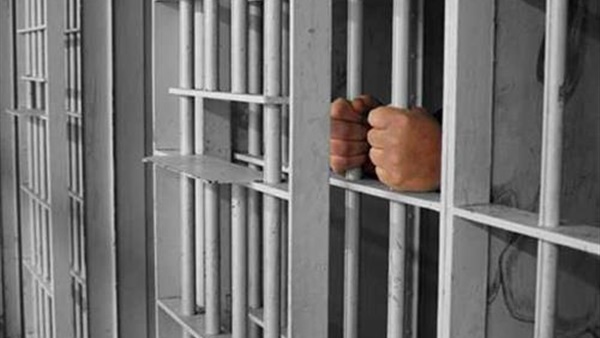 حبس مواطنا ذبح كلبا لأكله والنيابة تأمر بإيداعة مستشفى العباسية 