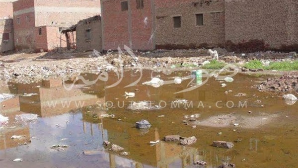 بالفيديو والصور.. مشكلات «الصرف الصحي» بالمنوفية عرض مستمر.. قرية الأطارشة بلا «صرف».. إرتفاع منسوب المياه الجوفيه يهدد بإنهيار منازلها.. تواجه إنتشار للأمراض والأوبئة.. والأهالي: «المسئولون في غفلة»