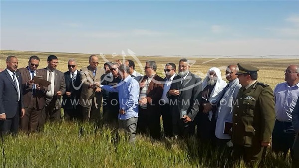 بالصور.. الزيارة الميدانية لوفد البرلمان بمحافظة الوادى الجديد