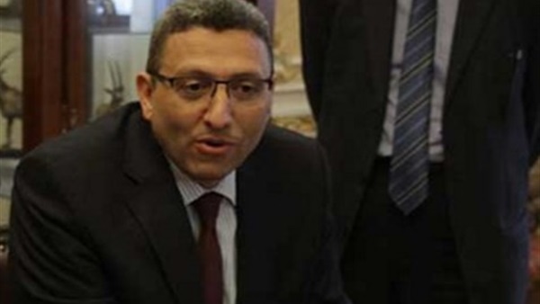 «سعد الدين»: تغيير رغبات اللجان النوعية بالبرلمان بعد إقرار اللائحة