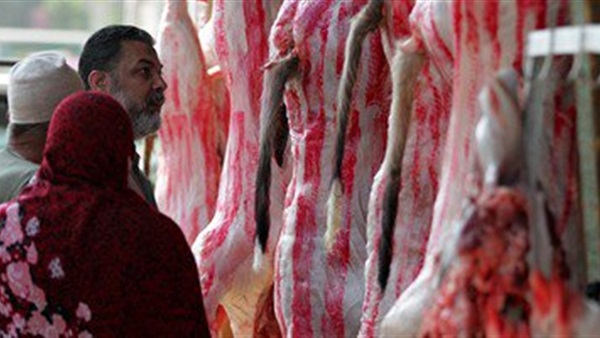 «تموين بورسعيد» يضبط لحوم فاسدة أثناء عرضها للبيع  