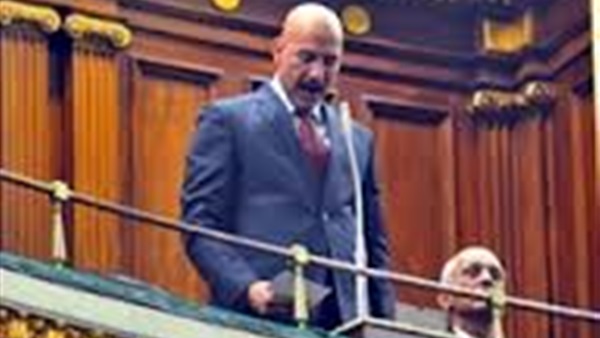 برلماني: حادث الطائرة كشف القصور الأمني من قبل المطار