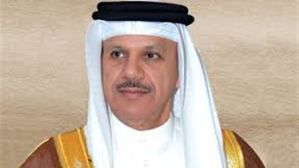 «الزياني»: الهجمات الإعلامية لن تتمكن من إيقاف التطور بالخليج