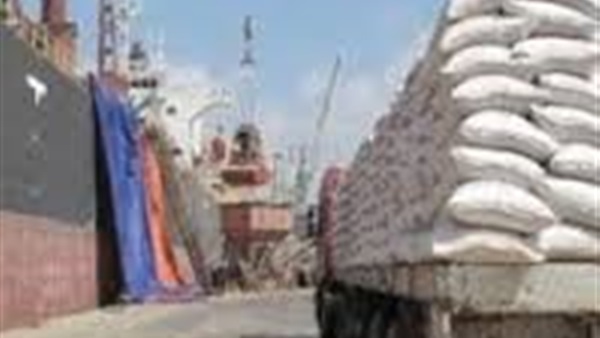 وصول 249 ألف طن قمح وذرة إلي ميناء الاسكندرية
