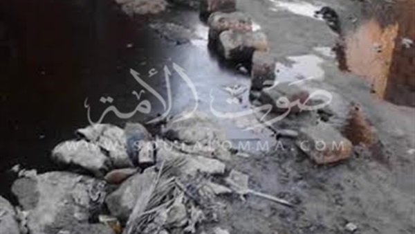 بالصور.. المياه الجوفية تحاصر مساكن الورشة بالفيوم