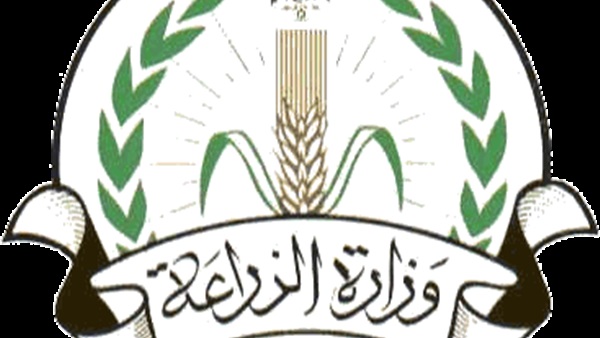 الزراعة تتفق مع البترول على  توفير الغاز لمصانع الأسمدة 