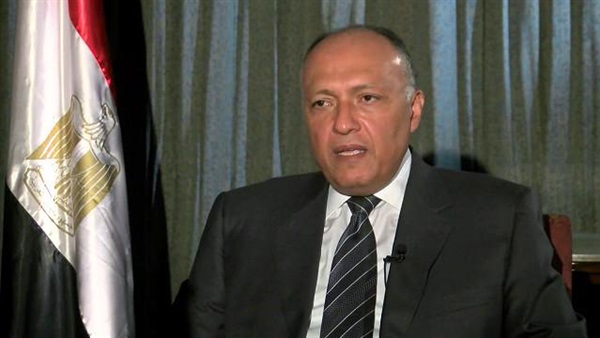 «شكرى»: سياسة السيسى الخارجية قائمة على فكر غير تقليدى