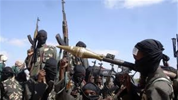 نيجيريا تؤكد اعتقال زعيم «الأنصار» المنشقة عن بوكو حرام