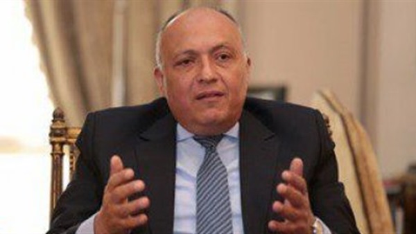 الخارجية: ما أنجزته الدبلوماسية المصرية خلال العام والنصف الماضيين