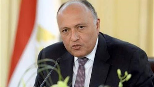 اليوم.. «شكري» يلتقي مبعوث الأمم المتحدة لعملية السلام