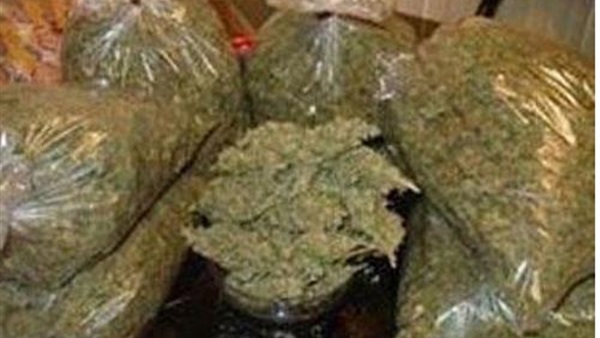 ضبط سائق بحوزتة كيلو بانجو فى المنيا 