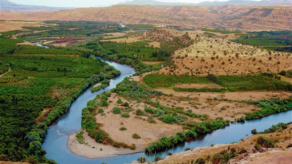 نهضة بلاد ما وراء النهر العلمية اعتمدت على اللغة العربية