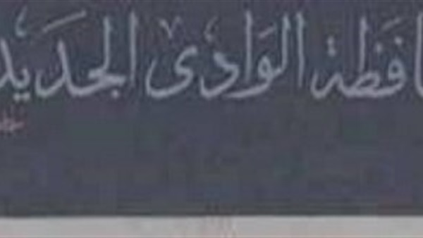 «الأورمان» تجهز 56 عروسة فى احتفالية يوم اليتيم بالوادى الجديد..غدا