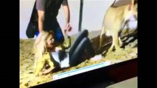 بالفيديو.. «أسد» ينقضّ على المطربة اللبنانية دومينيك حوراني