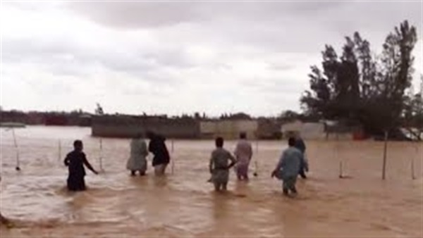 بالفيديو.. رجل يضحي بعماله الوافدين لإنقاذ أغنامه من السيول