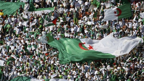 فرص تأهل الفرق المصرية بالبطولات الإفريقية.. تفائل في الأهلي ومهمة انتحارية للزمالك  