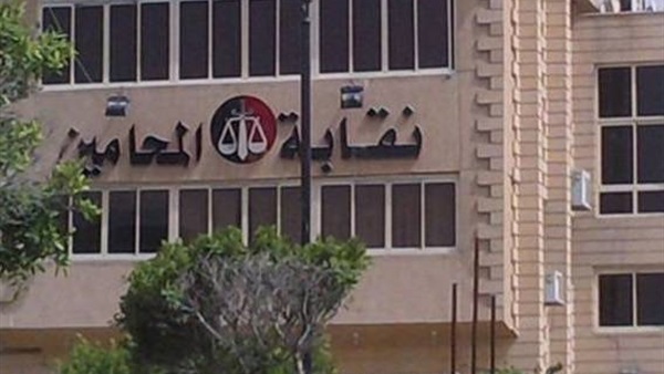 فوز محمد بشير بمنصب نقيب المحامين في الوادى الجديد
