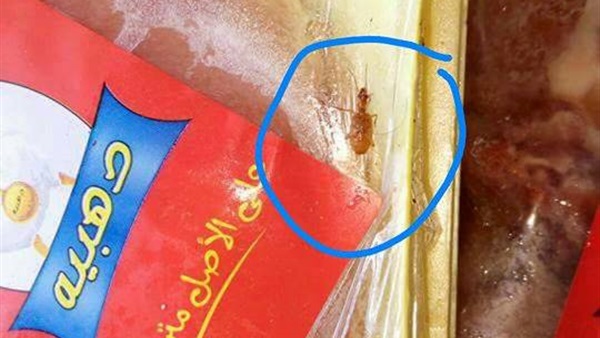بالصور.. حملة مكبرة فى سفاجا تضبط ألبان ببكتريا ضارة.. ودجاج به «صراصير» وطاجن «أم على» غير مطابق للمواصفات.. والأهالى بياكلو رز مضروب 