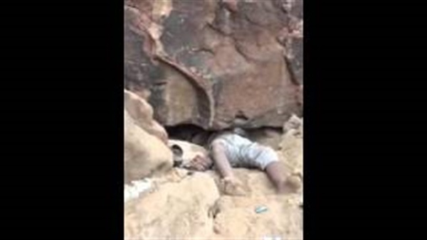 بالفيديو.. ذئاب بشرية تصطاد نظيرها حيوانية