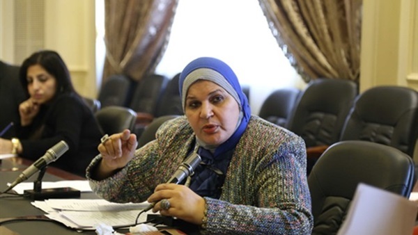عضو بمجلس النواب: «لن يحدث شغب في مظاهرات الغد»