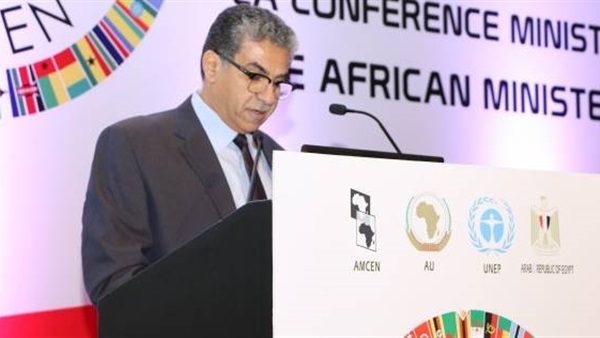 مستشار وزير البيئة: إفريقيا تشهد صحوة كبيرة