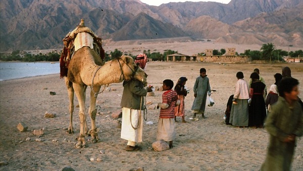 رؤية لتنمية الطرق التاريخية في سيناء 