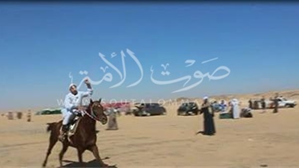 بالفيديو والصور.. «المرماح» 150 عامًا من تراث الصعيد.. «المزمار والذكر» أبرز مظاهر الاحتفال.. «300 حصان» مشارك و«القصبجي» يفوز بالكأس لـ7 سنوات.. و«الشاطر حسن» الأقوى.. و«الأدب» أساس «التحطيب»