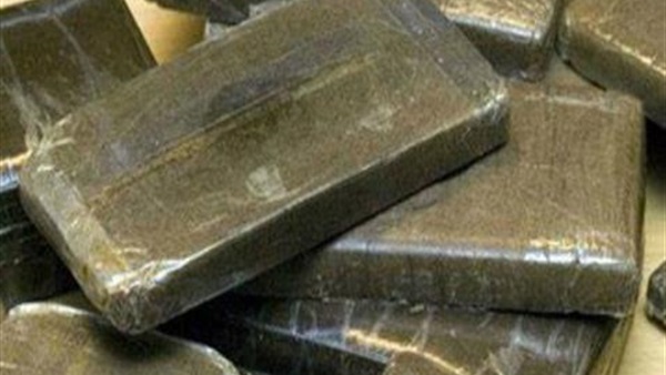 ضبط 10 طرب حشيش بحوزة عاطليين في الإسكندرية