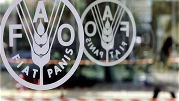 "الفاو" تعقد الدورة الـ33 للمؤتمر الإقليمى في روما 9 مايو